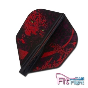 COSMO DARTS(�����������) [�ե饤��] Fit Flight/AIR(�ե��åȥե饤��/������)��Nasir Bomba(�ʥ����� �ܥ��) ver.2 ��������