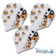 COSMO DARTS(�����������) [�ե饤��] Fit Flight/AIR(�ե��åȥե饤��/������)��Chun Yao Huang(����� �䥪 �ե���) ��������