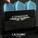 TRiNiDAD(�ȥ�˥�����) [�����ĥ�����] CAPACITY(����ѥ��ƥ�) PLAYER Model2
