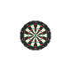 TARGET(�������å�) [�ܡ���] ASPAR PROFESSIONAL DARTBOARD