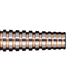COSMO DARTS(�����������) [�Х��] DISCOVERY LABEL(�ǥ������Х꡼�졼�٥�) - Ayaka Okamoto ���̲ܺ������ǥ�