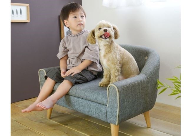 【ペット用ソファ】RILI -リリ-〈関家具〉