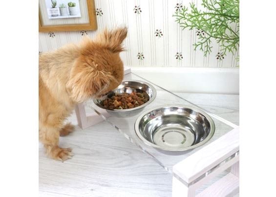 【ペット用ご飯入れ】RIME -ライム- 〈関家具〉