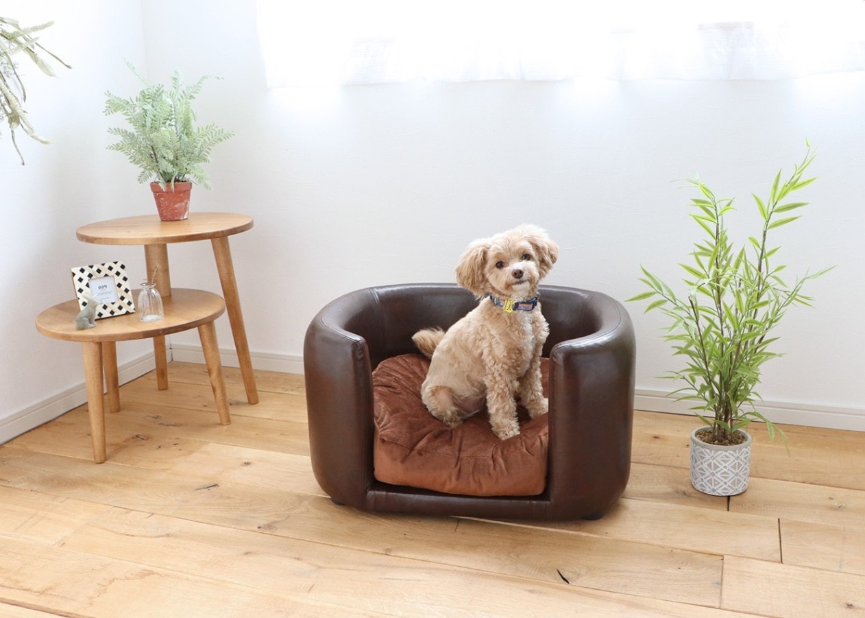 【ペット用ソファベッド】JUNO -ジュノ-〈関家具〉