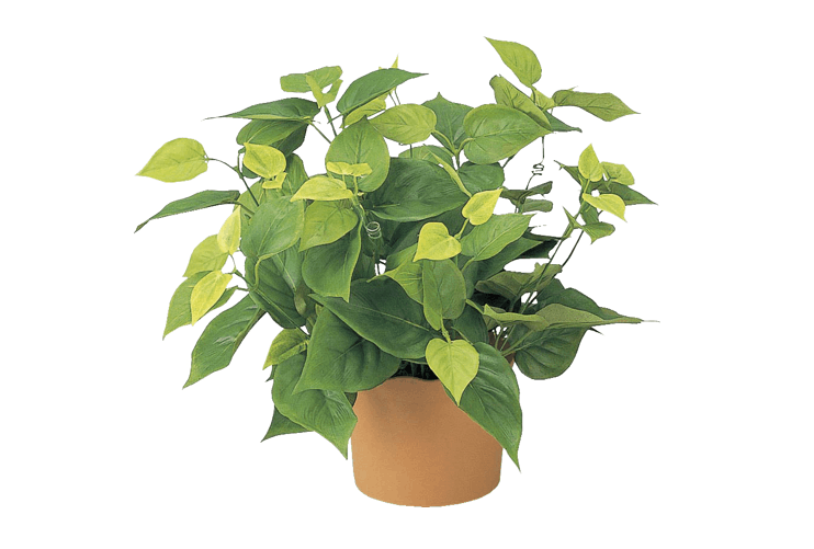 インテリア雑貨 | dia Deco