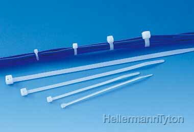 w}^Cg T30R oh CVbN^C lr^C WO[h F (100{)