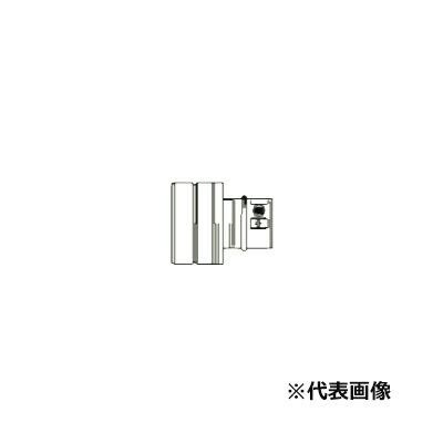 p} LFEIA-610 핔 Paloma