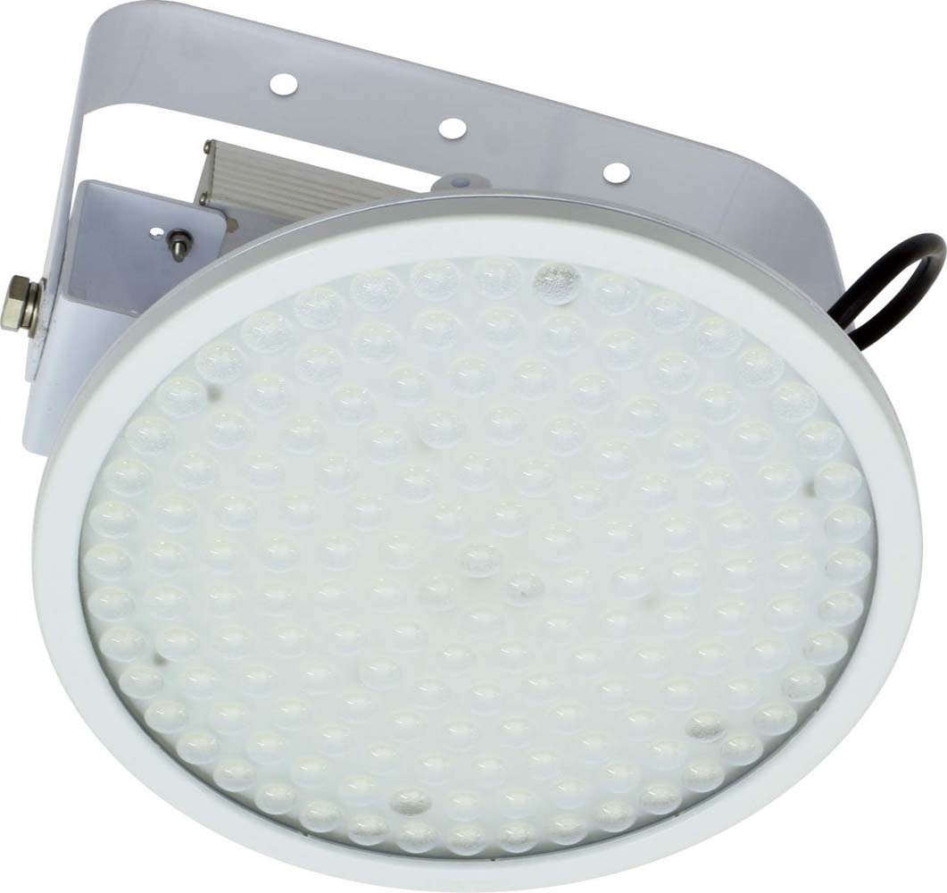 (��������) �����H�� L100V2-P-HS-50K �n�C�f�B�X�N 100W NICHIDO