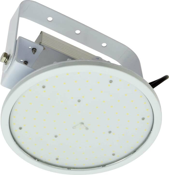 �����H�� L150V2-P-HW-50K �n�C�f�B�X�N 150W NICHIDO