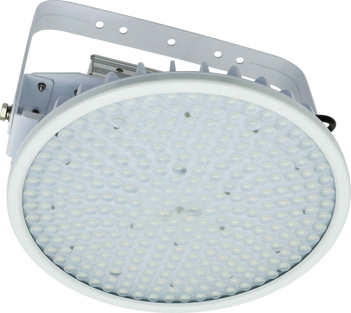 �����H�� L300V2-P-HS-50K �n�C�f�B�X�N 300W NICHIDO