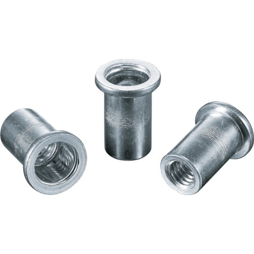 �G�r NAD1025M �u���C���h�i�b�g�g�G�r�i�b�g�h(�����E�A���~��) ��2.5 M10X1.5(500��)  ���x�b�g LOBSTER ���u�e�b�N�X LOBTEX