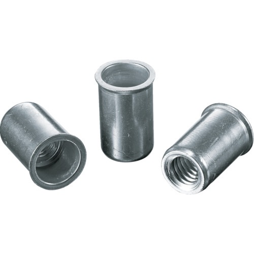 �G�r NAK825M �u���C���h�i�b�g�g�G�r�i�b�g�h(�����E�A���~��) ��2.5 M8×1.25(500��)  ���x�b�g LOBSTER ���u�e�b�N�X LOBTEX
