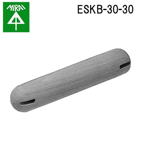 �����H�� ESKB-30-30 ESP�p�����_ 1�� MIRAI