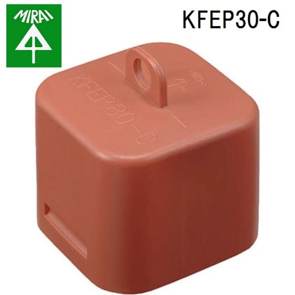 �����H�� KFEP30-C �L���b�v(�J�N�t���L�t���i) 1�� MIRAI