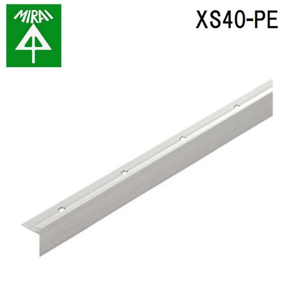 �����H�� XS40-PE �p�l���G�b�W 1�{ MIRAI