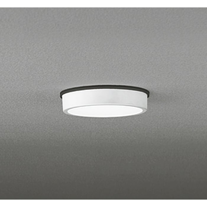 �I�[�f���b�N OG254515R �����p�V�[�����O���C�g ���M�����100W���� �����F �I�t�z���C�g �h�J�^ ODELIC