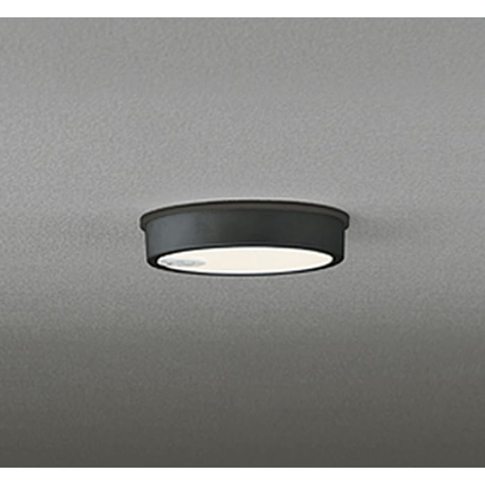 �I�[�f���b�N OG254524R �����p�V�[�����O���C�g ���M�����100W���� �l���Z���T�[ON-OFF�^ �d���F �u���b�N �h�J�^ ODELIC