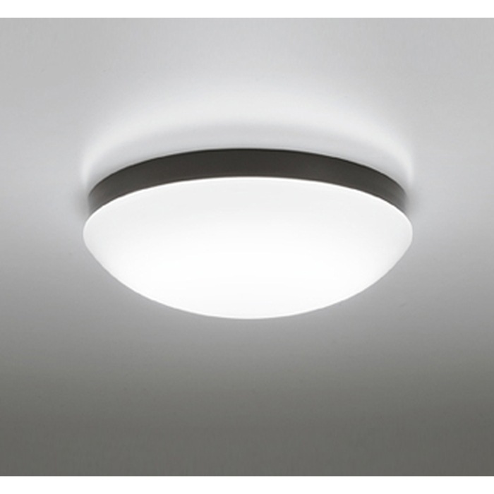 �I�[�f���b�N OW269050NR ���O�pLED���p�� FCL20W���� �����F �ǖʁE�V��ʁE�X�Ζʎ�t���p ODELIC