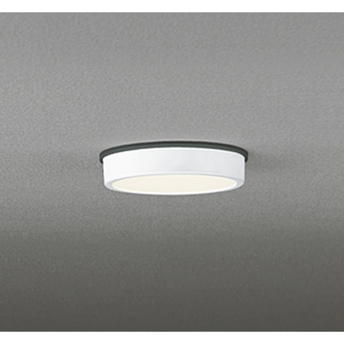 �I�[�f���b�N OG254516R �����p�V�[�����O���C�g ���M�����100W���� �d���F �I�t�z���C�g �h�J�^ ODELIC