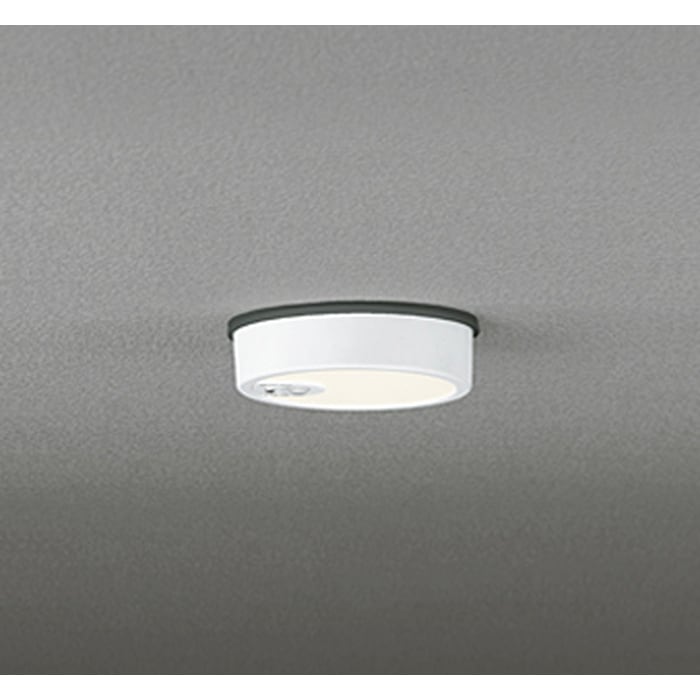 �I�[�f���b�N OG254534R �����p�V�[�����O���C�g ���M�����60W���� �l���Z���T�[ON-OFF�^ �d���F �I�t�z���C�g �h�J�^ ODELIC