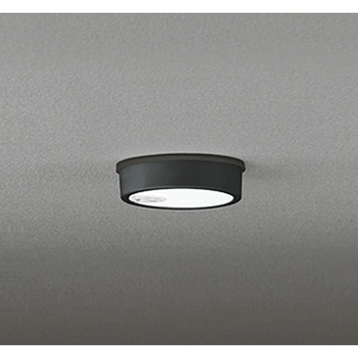 �I�[�f���b�N OG254535R �����p�V�[�����O���C�g ���M�����60W���� �l���Z���T�[ON-OFF�^ �����F �u���b�N �h�J�^ ODELIC