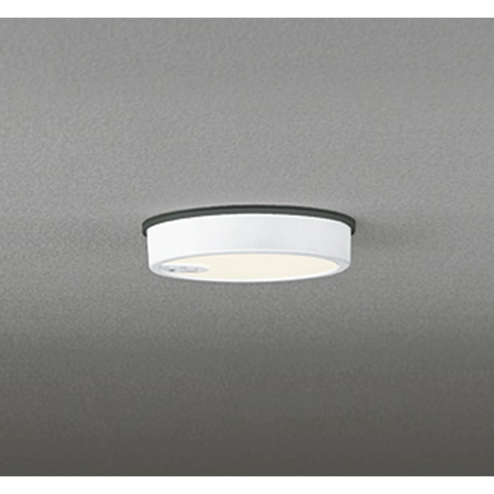 �I�[�f���b�N OG254522R �����p�V�[�����O���C�g ���M�����100W���� �l���Z���T�[ON-OFF�^ �d���F �I�t�z���C�g �h�J�^ ODELIC