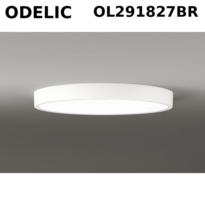 �I�[�f���b�N OL291827BR �t���b�g�v���[�g(�ی`) �����E���F�^ �d���`�����F �`8���p 4,000lm (�R���g���[���[�ʔ�) ODELIC