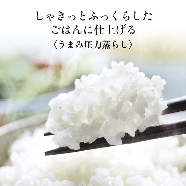 象印 NP-ZX18-BA 圧力IH炊飯ジャー 極め炊き 1升炊 ブラック 炊飯器 