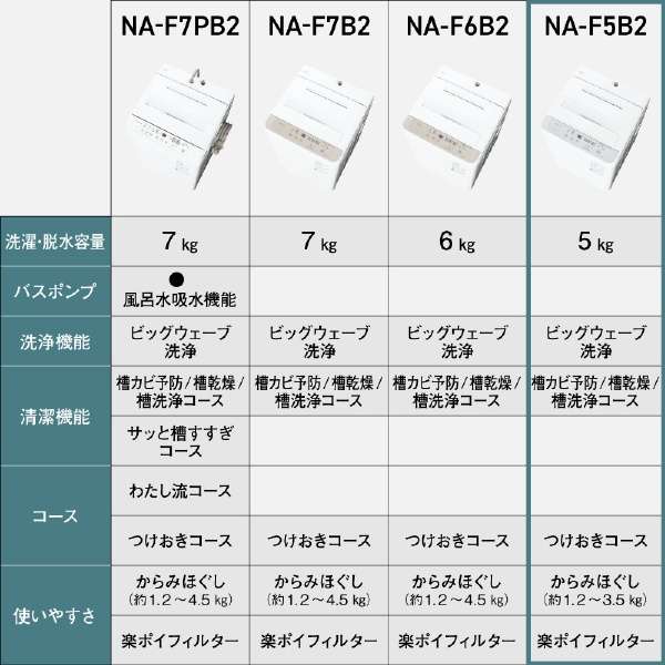 パナソニック NA-F5B2-S 全自動洗濯機 洗濯・脱水容量5kg