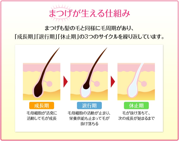 話題のまつ毛美容液 EMAKED - エマーキット 【送料 当店負担