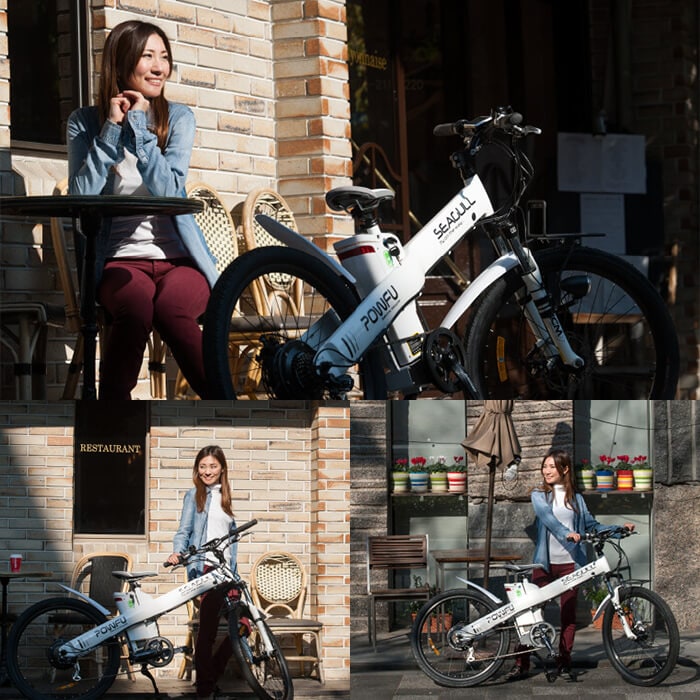専用 京の洛スク Pirouette フル電動自転車化 モペット