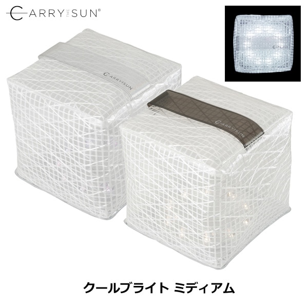 Carry The Sun(����꡼������) ������֥饤�� �ߥǥ�����
