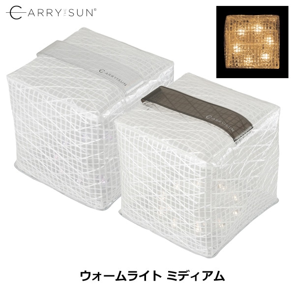 Carry The Sun(����꡼������) ��������饤�� �ߥǥ�����