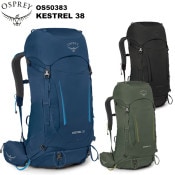 OSPREY(ץ졼) ȥ38  OS50383