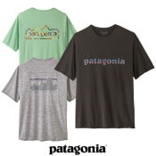 patagonia(ѥ˥) M's Capilene Cool Daily Graphic Shirt (󥺡ץ꡼󡦥롦ǥ꡼եå)