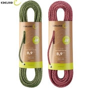 EDELRID(�����ǥ��å�)�� �����եȥץ��ƥ��ȥ����ɥ饤50m ER71385.050