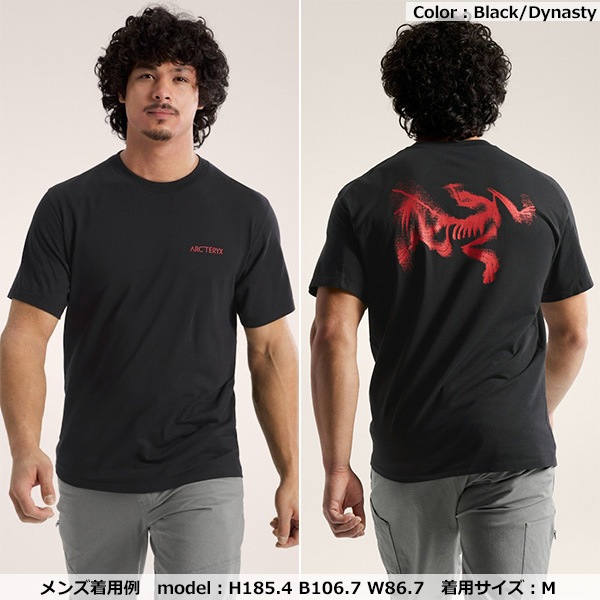 ARC'TERYX(アークテリクス) Kragg SL Cotton Blurred Bird Men's
