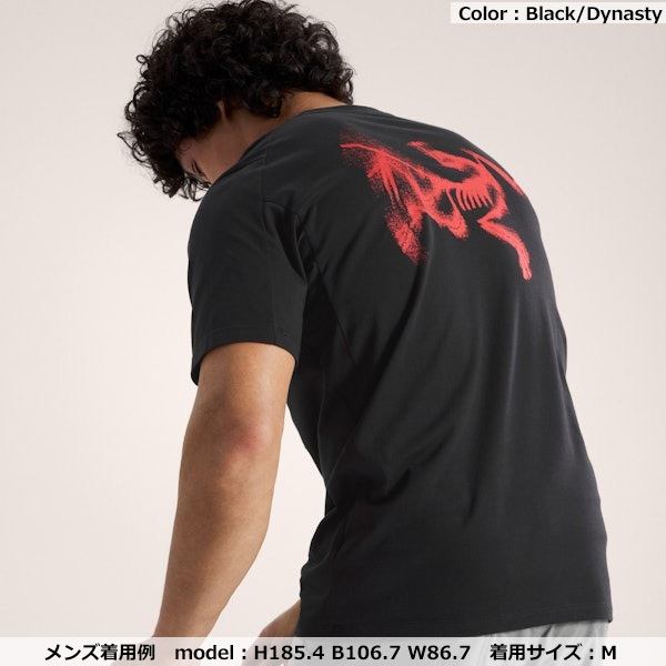 ARC'TERYX(アークテリクス) Kragg SL Cotton Blurred Bird Men's