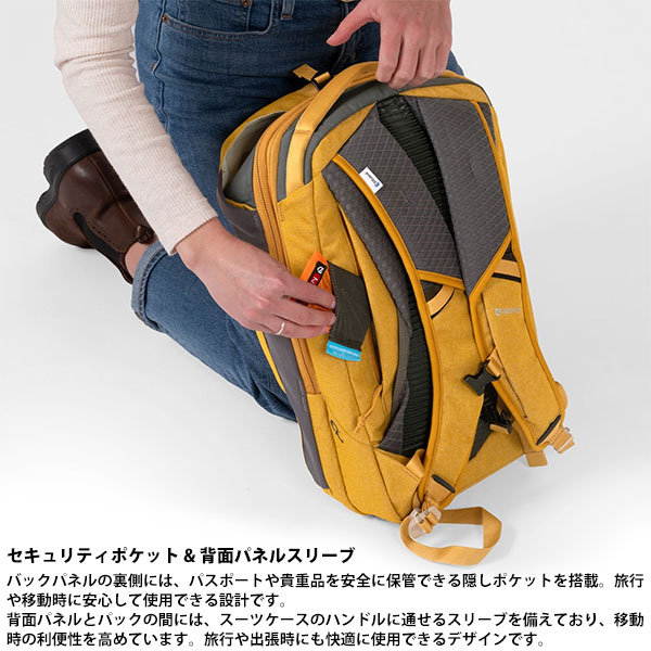 NEMO(�ˡ��⡦�������åץ���) �Х�ơ���20L