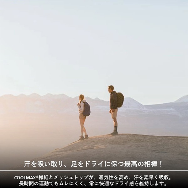 injinji(���󥸥�) ���ߥåɥ������ȥߥ˥��롼 203230