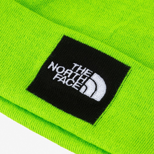 THE NORTH FACE(Ρե) Snow Neon Beanie (Ρͥӡˡ)