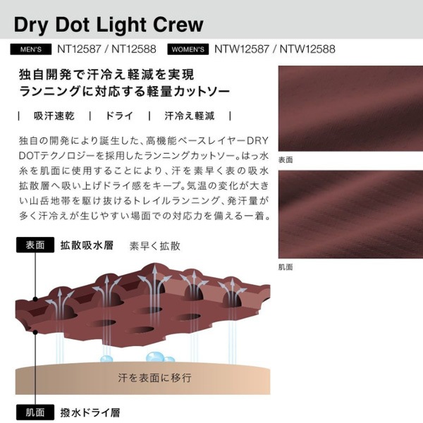 THE NORTH FACE(�Ρ����ե�����) ��SUMMIT���꡼����S/L Dry Dot Light Crew(WOMENS)(���꡼�֥쥹�ɥ饤�ɥåȥ饤�ȥ��롼) NTW12587