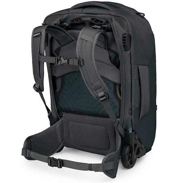 Osprey(�����ץ졼) �ե����ݥ����/�ե����ӥ塼���������36 OS55352