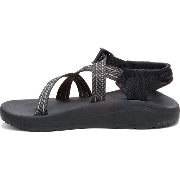 Chaco(㥳) åZ Women's (Frond Black) 12365308