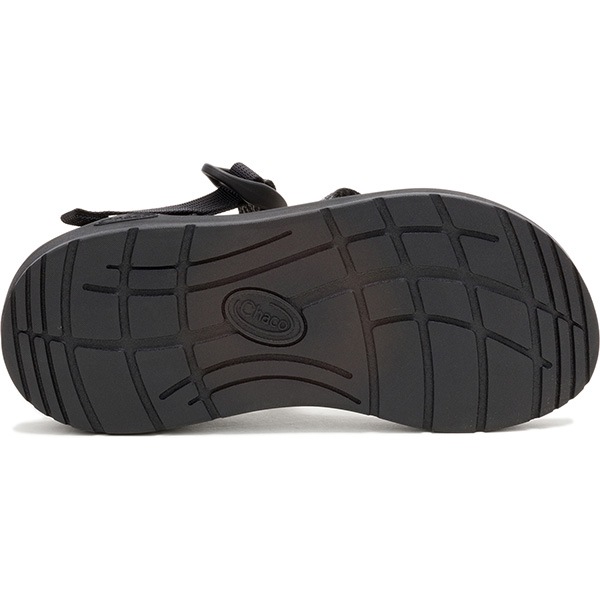 Chaco(㥳) åZ Women's (Frond Black) 12365308