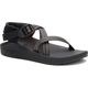 Chaco(㥳) åZ Women's (Frond Black) 12365308