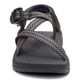 Chaco(㥳) åZ Women's (Frond Black) 12365308