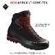 ARC'TERYX(ƥꥯ) Acrux LT Gore-Tex M(å LT ƥå ֡ ) 076101 Black/Helios