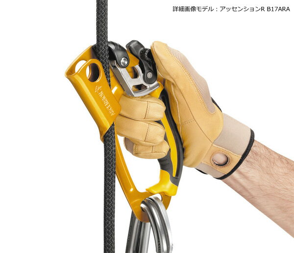 PETZL(�ڥĥ�) B17ARA ���å��󥷥�� R