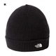 THE NORTH FACE(Ρե) Kids Small Logo Beanie (å⡼ӡˡ)